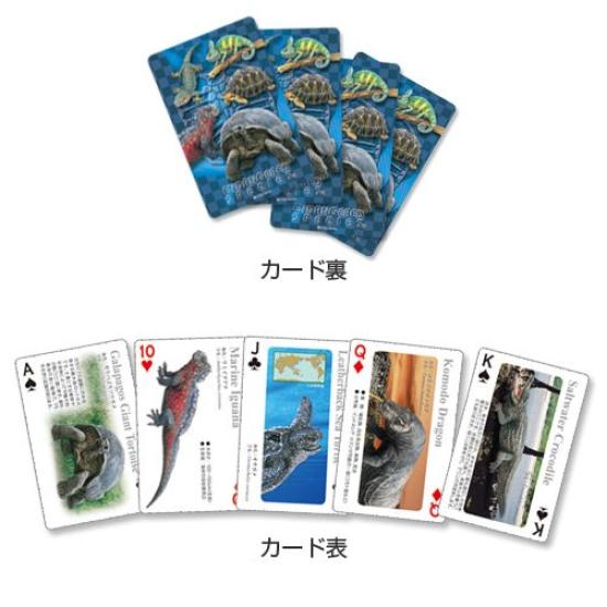 Carolata Real Reptile Playing Cards Animal Reptile Toy Educational Toy Playing Card Game Picture Book Gift Present Christmas (Reptiles/Quiz