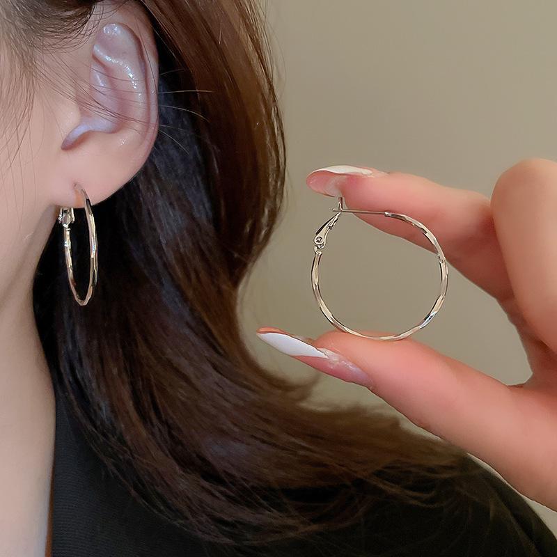 High-End Light Luxury Cold-Style Metal Hoop Earrings