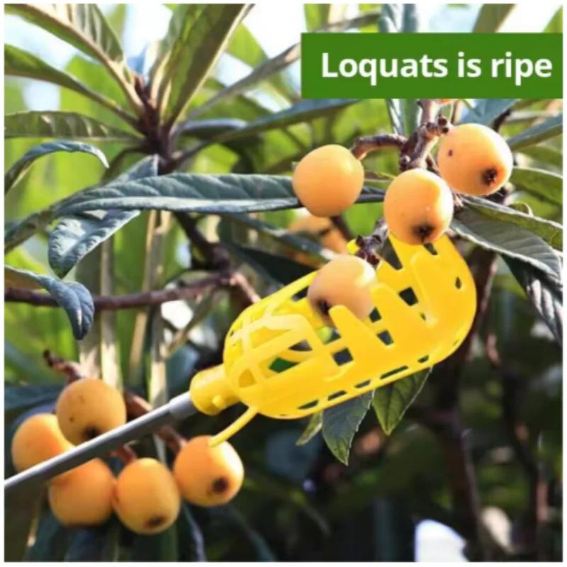 Dispositivo di Raccolta per Orto e Giardino Utensili da Giardino Cesto Profondo Testa Raccoglifrutta Comodo Raccoglitore di Frutta Raccolta di Mele Pesche