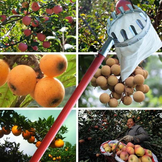 Ergonomic Fruit Picker Effective Metal Manual Anti-rust Picking Tool for Garden