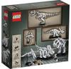 LEGO Ideas 21320 Скелеты динозавров