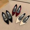 Fashion Pointed Flat Shoes for Women Spring Autumn 2025 New Casual Suede Pointed Mary Jane Shoes Plus Size 41 42 43 Women's Shoes