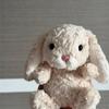 Sweet Little Jellycat-Style Rabbit Plush Toy