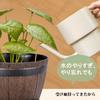 VECELO Planter Set (2 Pots): 19cm Wide X 14cm High. Plastic Planter with Saucer and Drainage Holes. Stylish Design for Succulents, Houseplants, and Ot