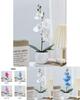 Durable Plastic Butterfly Orchid Fake Plant With Textured Finish For Celebrations And Photo Shoots