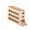 Refrigerator Slide-Out Egg Storage Box for Freshness