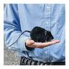 Hansa Plush Black Rat Black W5cm H6cm D12cm