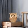 Modern Classy Lucky Owl Resin Art Figurine | Beautiful Home Decor (Brown, Pack of 1)