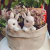 Bunny With Carrot Flower Pot Reusable Cartoon Spring Flower Pot Resin Animal Succulents Holder for Home Festival Decoration