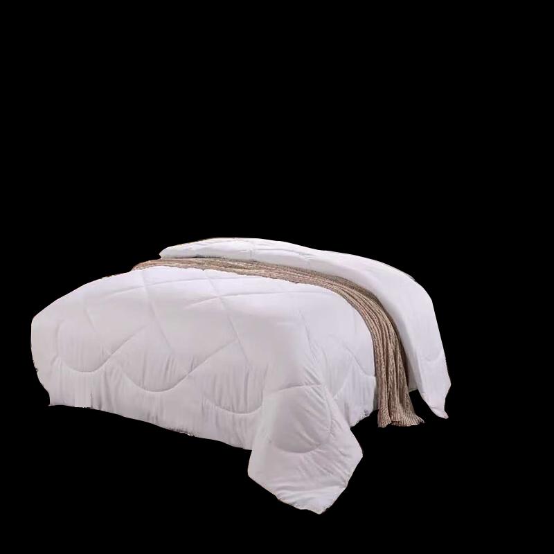 Mengjie Cloud Enjoy Winter Fiber Quilt