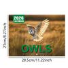 Owl Wall Calendar 2026 Featuring Diverse Owl Patterns Annual Monthly Planning Calendar Interesting Gift For Home Or Office Use