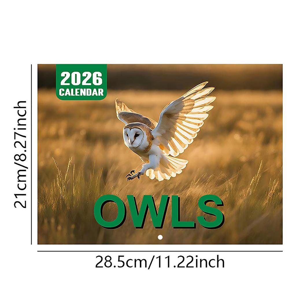 Owl Wall Calendar 2026 Featuring Diverse Owl Patterns Annual Monthly Planning Calendar Interesting Gift For Home Or Office Use