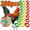 100 Pack Adjustable Poultry Leg Identification Rings Durable No Number Buckle for Chicken Duck Goose Home Farm Feeding Use