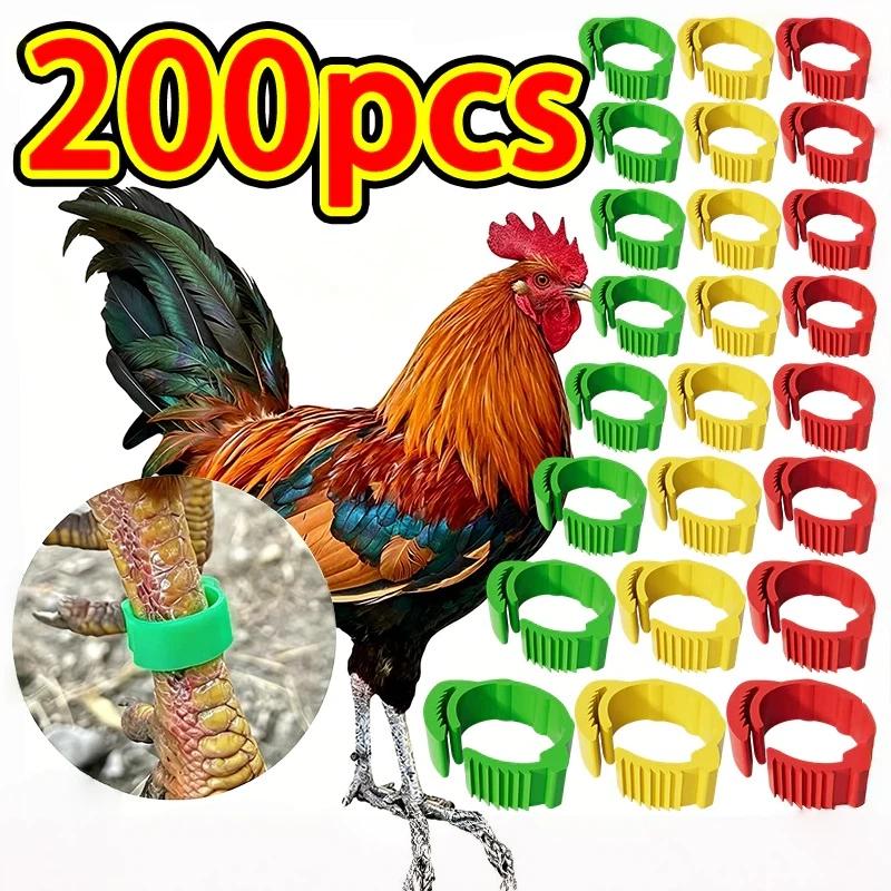 100 Pack Adjustable Poultry Leg Identification Rings Durable No Number Buckle for Chicken Duck Goose Home Farm Feeding Use