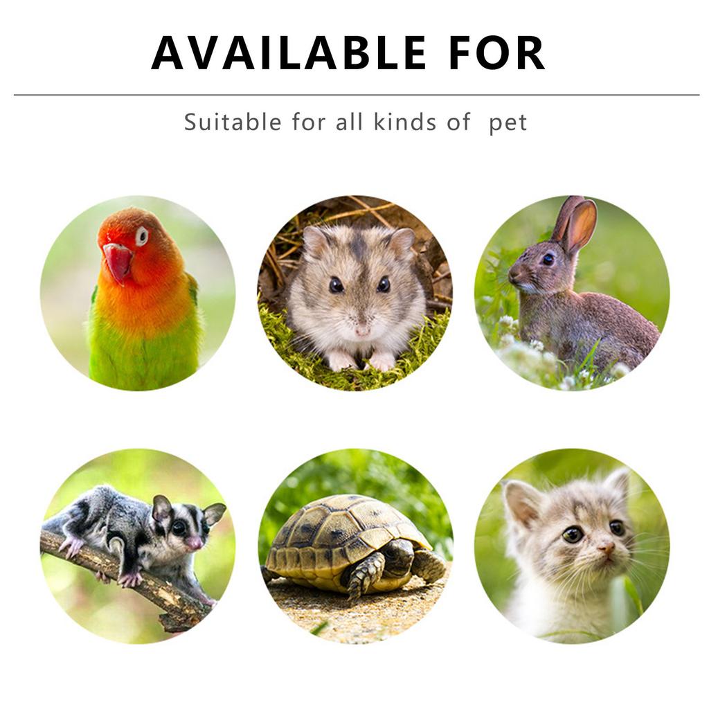 Kleine Huisdierverzorgingshandschoenen voor Hamsterbezitters Wasbaar en Bijtbestendig Hamsterhanteerhandschoenen voor Aaien Voeren Schoonmaken