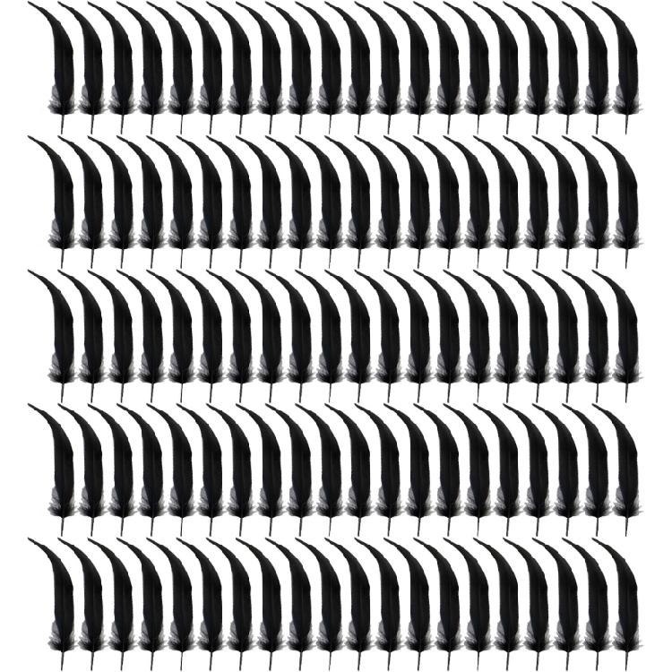 Opakowanie 100 Czarnych Piór Dekoracyjne Naturalne Pióra Rękodzieło Do Łapaczy Snów Kostium Kapelusz Kolczyki Biżuteria Dekoracja