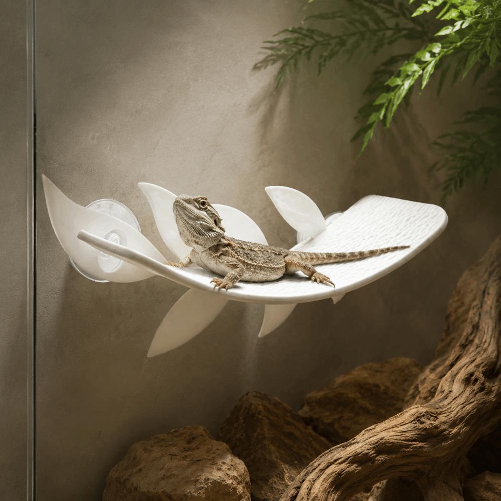 Leaf Shape Lizard Habitat Leaf Simulated Leaves Suction Cups Resting Terrace Plastic Naturalistic Climbing Rest