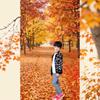 Professional Photography Background Material Valentine's Day Flower Tree Theme
