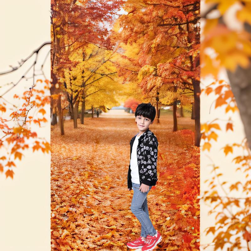 Professional Photography Background Material Valentine's Day Flower Tree Theme