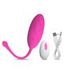 Vibrating Egg Women Vagina Vibrator Remote Control Wearable Panties Vibrator Female Masturbation Interaction Sex Toy for Couples