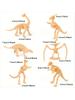 6pcs Simulated Dinosaur Skeleton Model Archaeological Excavation Dinosaur Fossil Skeleton Accessories Children's Birthday Gifts