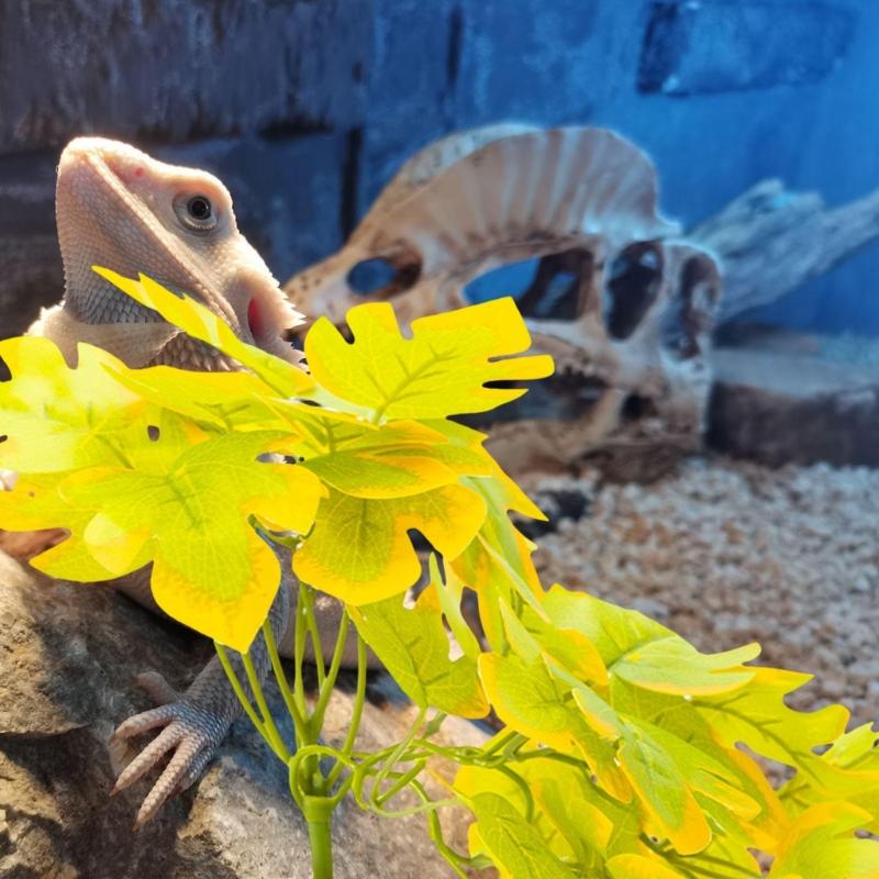 Reptiles Plant Grass for Climbing Habitat Decors Branch with Leaves for Lizards Spiders Snake Geckos Hideouts