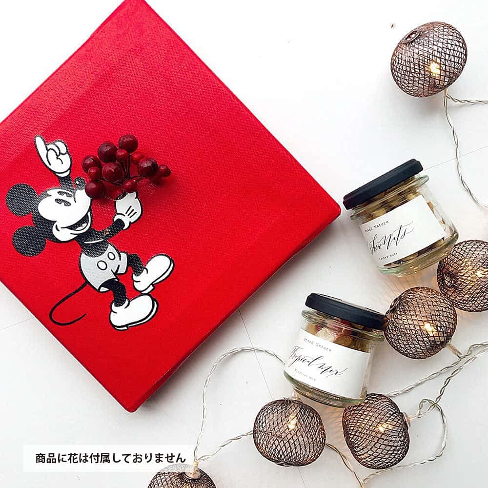 Art Deli Disney Mickey Mouse IKEBANA Poster 20cm x Made in Lightweight Disney Panel, 20cm, Japan, Fabric, IKE-DSNY-1807-04