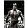 Poster Arnold Schwarzenegger Bodybuilding Fitness