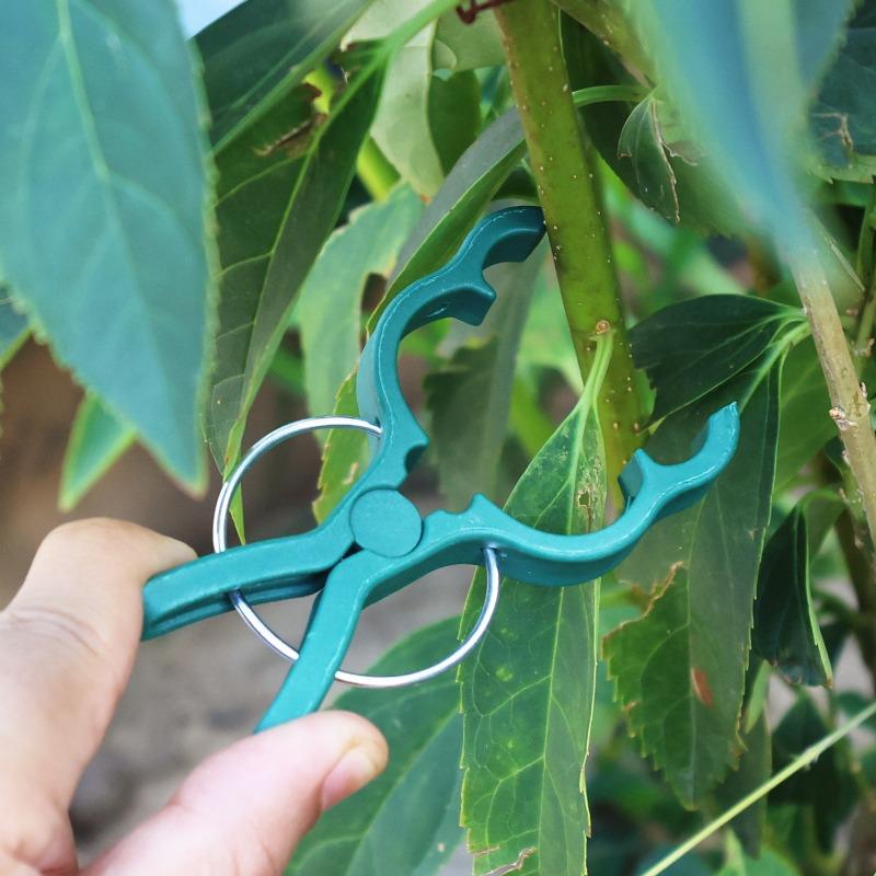 50/10pcs Large Plant Fixed Clips Reusable Garden Bracket for Tomato Cucumber Climbing Plants Vine Branch Organizer Support Clip