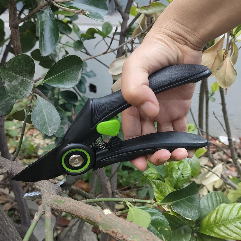 LiTuiLi Scissors Fruit Tree Pruning Garden Branch Shears SK5 Steel Gardening Pruning Shears Flower Pruning Branch Scissors