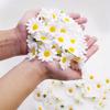 30/50/100Pcs Artificial Flowers Daisy Silk Flowers Decoration Party Supplies Wedding Decoration Home Decor Craft Gifts Accessory