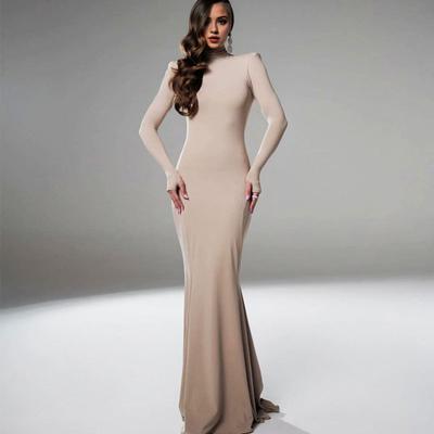 Women Evening Dress Long Sleeves Skinny Solid Color Sheath Hollow Back Floor Length Stretchy Half-high Collar Prom Party Maxi Dress
