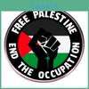 Okupace Končí Vlajka Palestiny Klopový odznak Dekorativní emblém