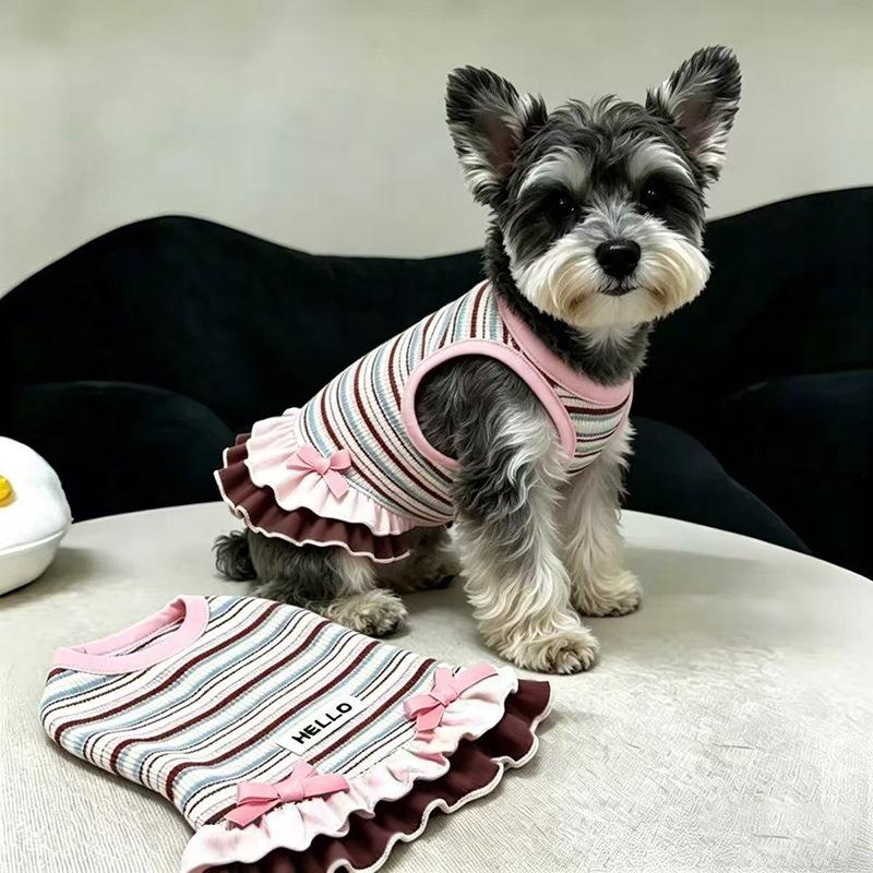 Dog clothes Autumn and winter rainbow striped dress Bigbear cat teddy Pomeranian small dog velvet pet vest