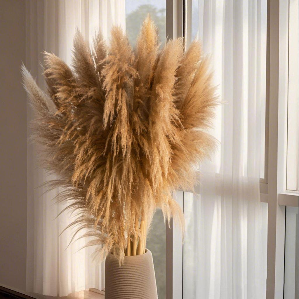 Large Dried Pampas Reed for Decoration in Clothing Stores, Windows, or Weddings