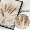Μπεζ φύση Πικραλίδα Reed Σιταρένιο γρασίδι αποσπάσματα για φυτά Τέχνη τοίχου Εκτύπωση καμβά Ζωγραφική σκανδιναβική διακόσμηση αφίσας Εικόνες για σαλόνι
