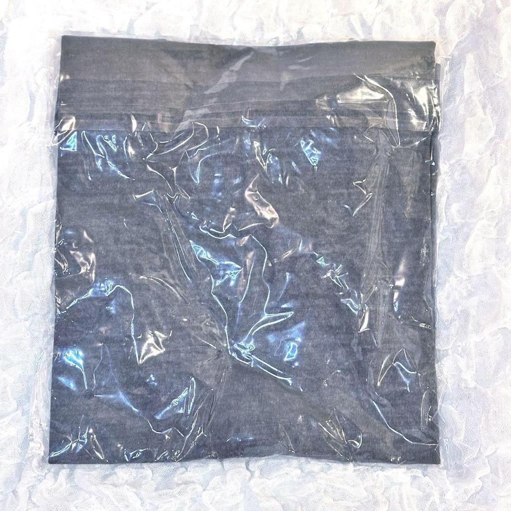 [USED] Stray Kids Waltz Dominate Seoul T-Shirt Gray