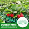 5 Pack Strawberry Plant Support - Strawberry Growing Racks with 3 Sturdy Legs, Waterproof Plant Trelli Protectors Reusable Plants Growing Frame Holder