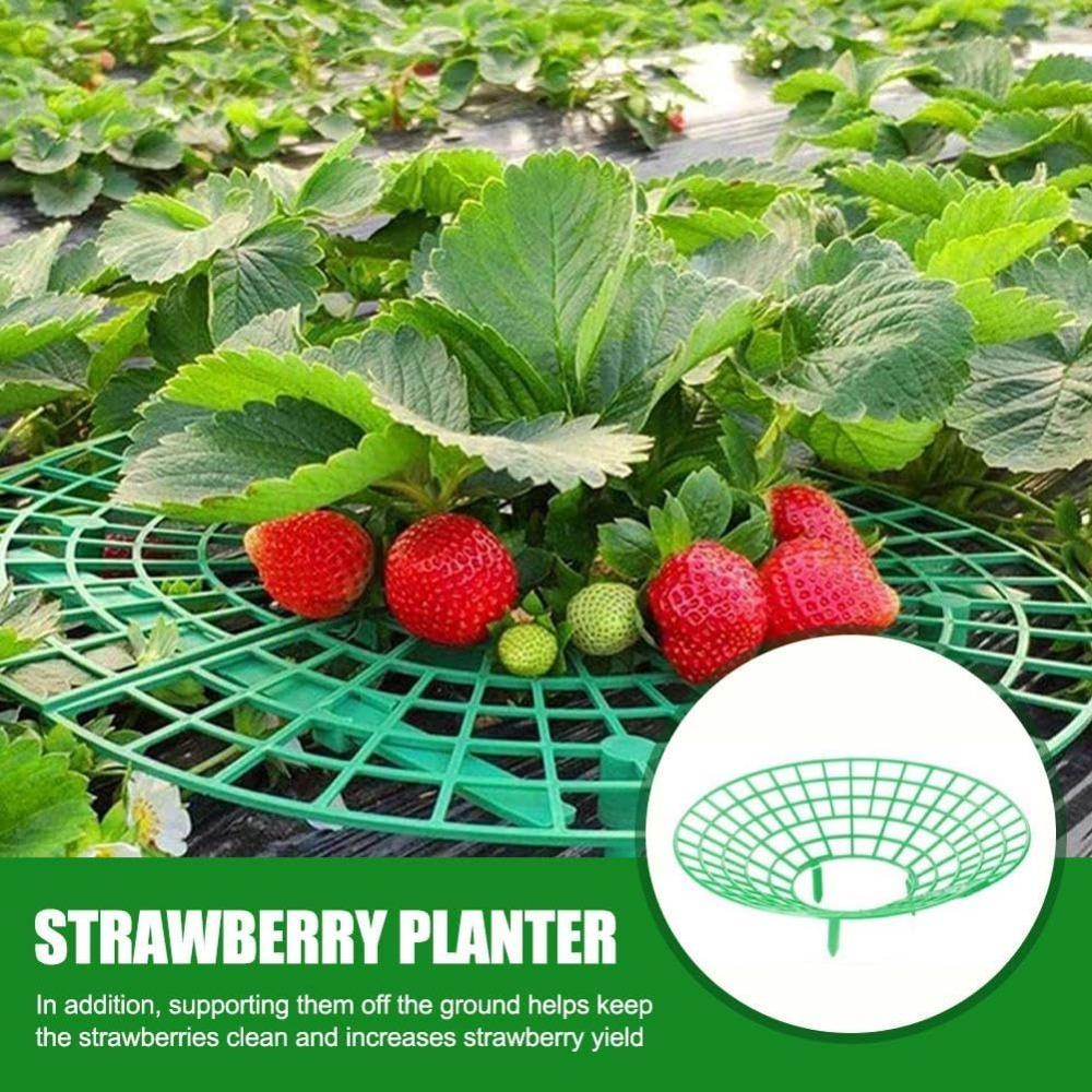 5 Pack Strawberry Plant Support - Strawberry Growing Racks with 3 Sturdy Legs, Waterproof Plant Trelli Protectors Reusable Plants Growing Frame Holder
