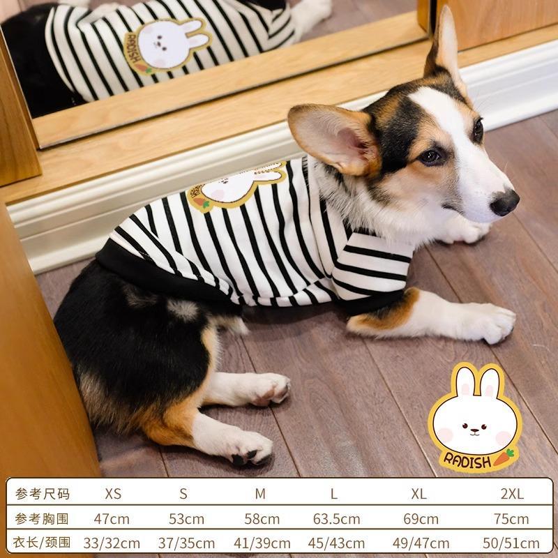Pet Corgi Dog Clothes Spring and Autumn Clothing Anti-hair Loss Teddy Bichon Shiba Inu Small Dog Two-legged Striped Sweater Winter