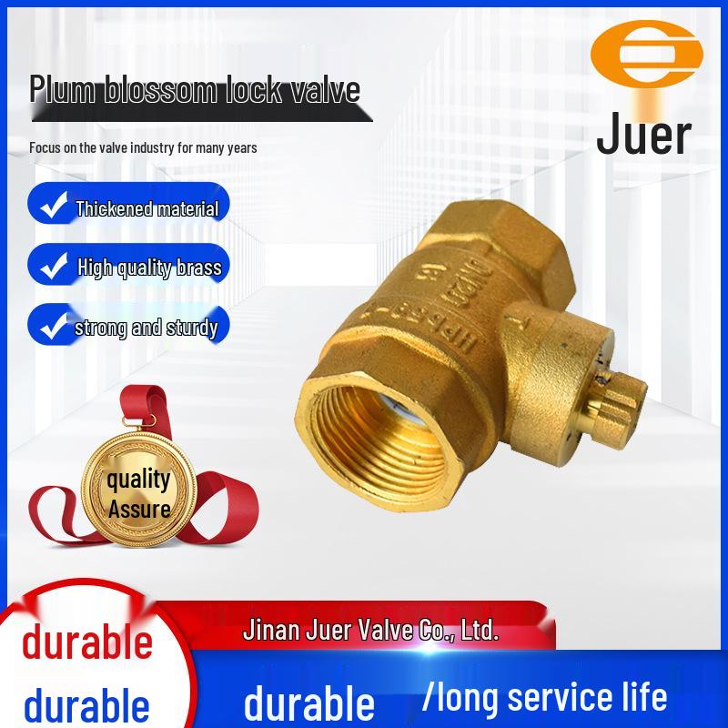

Juer Anti-Theft Lockable Copper Gate Valve with Manual Magnetic and Plum Blossom Ball Lock. DN15