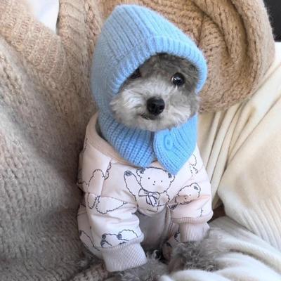 Puppy Dress Up Warm Dog Knitted Hat Soft Comfortable Pet Hooded Scarf Solid Color Fashion Dog Decorative Hat Outdoor