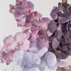 2pcs Retro Artificial Flowers 10 Head Phalaenopsis 90cm Home Flower Arrangement Wedding Living Room Vase Decoration Photography Props Fake Flower