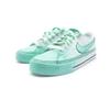 Nike Court Royale Kiwi Cushioning Low top Skateboard Shoes Unisex White DH3161-100(team912-)