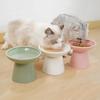 High-Leg Ceramic Cat Bowl with Neck Protection