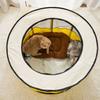 Dog Playpen with Door and Top for Small Dogs Indoor Exercise  Pet Tent Playground for Cats Multiple Colors S/for M