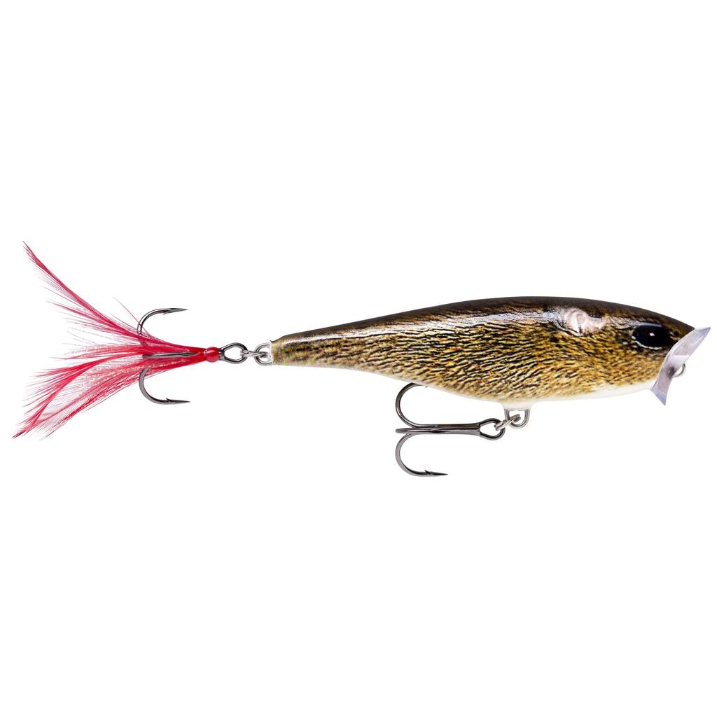 Rapala Skitter Live Mouse FML Lure Popper, 7cm, 7g, SP7-FML