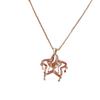 Niche Creative Color Quicksand Bottle Inlaid Zirconium Necklace Five-Pointed Star Love Fairy Tale Style Personality