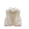 Fox hair back hair car strip fur vest women's short stand-up collar thin new coat moonlight fox hair vest