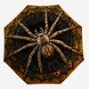 1PC spider web mandala Umbrella-9-Rib Reinforced, Automatic Open, Lightweight & Durable, Cute Fashion Accessory for Outdoor-P0702